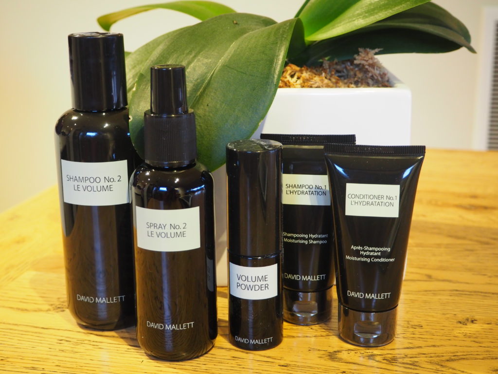 David Mallett Hair Care A Product Review Distant Francophile